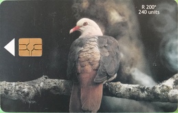 MAURICE  -  Phonecard  - Pink Pigeon  -  240 Units  -  R 200 - Mauritius