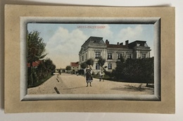 AK  GROSS  ENZERSDORF 1917. - Gänserndorf