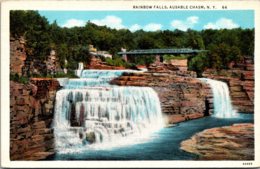 Wisconsin New York Ausable Chasm Rainbow Falls Curteich - Adirondack
