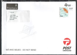 Greenland 2010.  Ordinary Mail Sent To Denmark. - Lettres & Documents