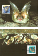 Liechtenstein 2005 Bats, Brown Long-eared Bat (Plecotus Auritus)  And Greater Mouse-eared Bat (Myotis Myotis)  MK - Covers & Documents