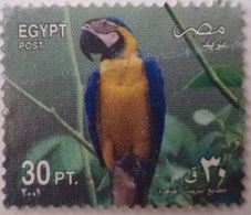 EGYPT - 2001-Blue And Gold Macaw (Ara Ararauna) (Egypte) (Egitto) (Ägypten) (Egipto) (Egypten) - Usados