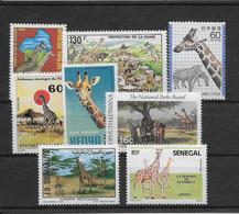 Thème Animaux - Girafes - Collection Timbres Neufs ** Sans Charnière - Tous Pays - TB - Girafes