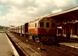 Photographie D'un Train 10797 En Gare - Reproduction - Treni