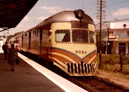 Photographie D'un Train 5064 En Gare - Animée - Reproduction - Treinen