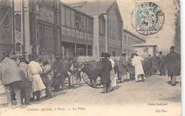 75-PARIS-CONCOURS AGRICOLE A PARIS, LA VISITE - Ausstellungen