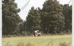 LANDWIRTSCHAFT - Traktor, Zelhem - NL - Tracteurs