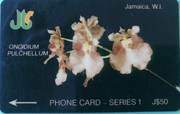 JAMAÏQUE  -  Phonecard  -  Oncidium Pulchellum  -  J $ 50 - Giamaica