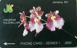 JAMAÏQUE  -  Phonecard  -  Oncidium Pulchellum  -  J $ 50 - Jamaïque