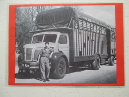 Transport Utilitaire - Chateaurenard (13) - Camion Bétaillière Ets Transport  Pierre Daudet  - Coupure De Presse De 1964 - Trucks