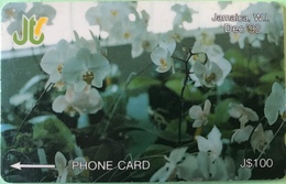 JAMAÏQUE  -  Phonecard  -  Flowers  -  J $ 100 - Jamaïque