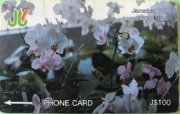 JAMAÏQUE  -  Phonecard  -  Flowers  -  J $ 100 - Giamaica