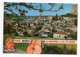 MONTCUQ--fantaisie Et Vue Générale  .......à Saisir - Montcuq