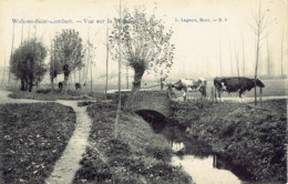 Woluwé Saint Lambert  Sint Lambrechts Vue Sur La Woluwé Animation (vaches) Lagaert N°9 - St-Lambrechts-Woluwe - Woluwe-St-Lambert