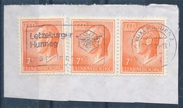 Luxemburg MWST 2000 Letzeburger Hunneg Biene 3x 7 F. Grossherzog - Máquinas Franqueo (EMA)