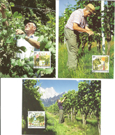 Liechtenstein 2003 The Year Of The Winemaker (II) - The Winemaker's Work In Summer, Mi 1316-1318  Maximum Cards  FDC - Brieven En Documenten