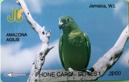 JAMAÏQUE  -  Phonecard  - Amazona Agilis  -  J $ 100 - Jamaica