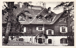 Brunn Bei Pitten * Gesundheim Mater Salvatoris, Berghütte * Österreich * AK482 - Wiener Neustadt