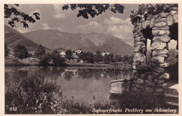 Puchberg Am Schneeberg * Ruine, Fluss, Partie, Gebirge * Österreich * AK489 - Neunkirchen