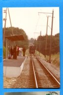 NY592, LEB, Train Lausanne -Echallens - Bercher - Trains