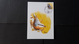 BUZIN - Carte Oiseaux CM : Numéro 2294 "Sitelle Torchepot" - 1981-1990