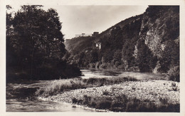 Gars Am Kamp * Fluss, Tal, Felsen, Partie * Österreich * AK708 - Horn