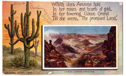 7101 - Grand Canyon ( AZ ) U.S.A. - Arizona State Card - H.H.T. Co. - - Gran Cañon