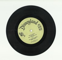 THE UGLY DUCKLING – DISNEYLAND RECORDS – VINYL – 340 – ROBIE LESTER - Enfants