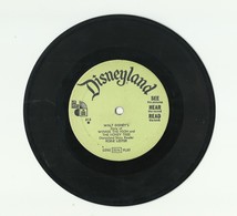 WINNIE THE POOH AND THE HONEY TREE – DISNEYLAND RECORDS – VINYL – 313 - 1966 – ROBIE LESTER - Niños