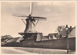 Harderwijk Molen Aan De Oude Wallen - & Windmill - Harderwijk