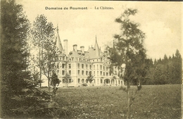 CP Du DOMAINE De ROUMONT " Le Château " LIBIN / OCHAMPS . - Libin
