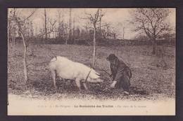 CPA Cochon Pig écrite Truffes Champignon Périgord - Schweine