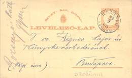 Ganzsache P4 Ungarn 1880 - Covers & Documents