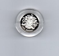 ENGELAND 1 POUND 1983 ZILVER PROOF SHIELD OF GROOT BRITTANNIE  -  DAMAGE ONLY ON CAPSEL - 1 Pond