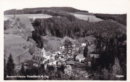 Hassbach (Warth) * Burgruine, Teilansicht * Österreich * AK961 - Neunkirchen