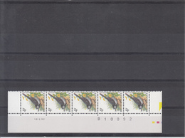 Datumstrook 16.II.96 Witte Kwikstaart - 1985-.. Birds (Buzin)