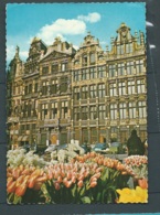 Cpsm Gf  - Bruxelles - Un Coin De La Grand'place -  Maca1155 - Squares