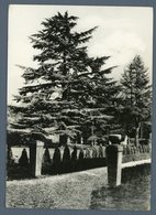 Delcampe - °°° Cartolina N. 1841 - Villa Da Persico Il Parco Affi Viaggiata °°° - Lodi