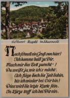 Nagold - Ortsansicht 1   Mit Gedicht - Nagold