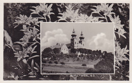 Maria Taferl * Wallfahrtsort, Kirche, Edelweiß, Collage * Österreich * AK1176 - Maria Taferl