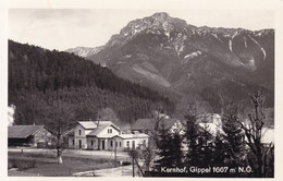 Kernhof (St. Aegyd Am Neuwalde) * Stadtteil, Gebirge, Alpen * Österreich * AK1211 - Lilienfeld