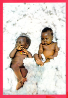 ZAÏRE- CONGO- Bébés Dans Le Cton - Babies In Cotton-wool * TOP *2 SCANS *** - Kinshasa - Leopoldville (Leopoldstadt)