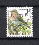 BELGIO  :  Uccelli Di Buzin - Carduelis Flammea -  1 F.  -  1 Val. Usato  Del.  1.06.1992 - Sparrows