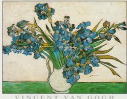 ETATS UNIS NY NEW YORK CITY THE METROPOLITAN MUSEUM VINCENT VAN GOGH IRIS 1853-1890 - Museos