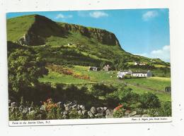 Cp, IRLANDE DU NORD ,farm In The Antrim Glens ,  écrite1966 , Voir Cachet Sur 2 E Scan - Antrim