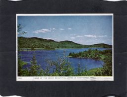 92709    Canada,  One Of  The Many Beautiful Lakes In Newfoundland, - Andere & Zonder Classificatie