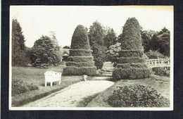 HOOGBOOM - Rusthuis "Welvaart" - Maison De Repos "Welvaart" - Le Parc - Circulé - Circulated - Gelaufen. - Kapellen