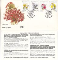 Bophuthatswana - Lettre De 1987 - Oblit Mogwase - Fleurs - Bophuthatswana