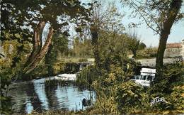 BRIOUX SUR BOUTONNE - Vue Sur La Boutonne. - Brioux Sur Boutonne