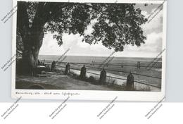 2058 LAUENBURG, Blick Vom Schloßgarten, 1936, Druckstelle - Lauenburg
